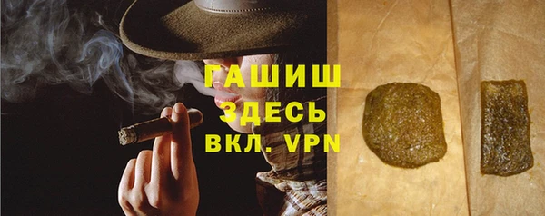 МДПВ Бородино