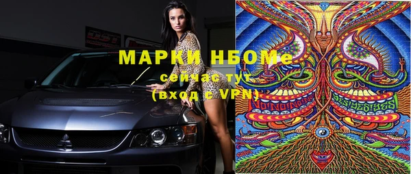 МДПВ Бородино