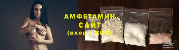 МДПВ Бородино