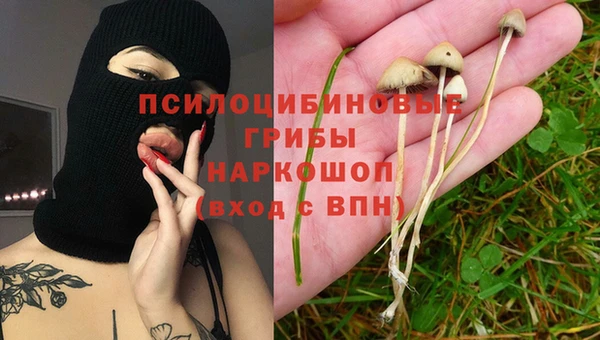 МДПВ Бородино