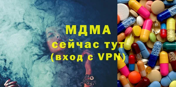 МДПВ Бородино