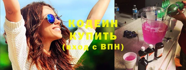 МДПВ Бородино