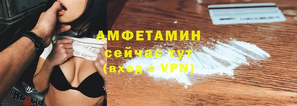 МДПВ Бородино